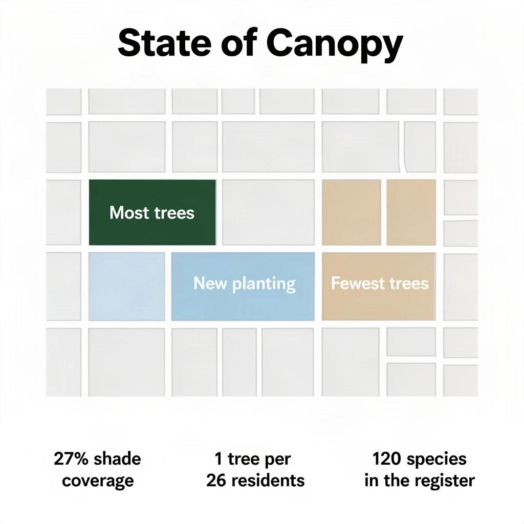 Flat infographic titled "State of Canopy". A simplified street map with shaded districts sits at the center, carrying three keyed regions, "Most trees" shaded dark green, "New planting" shaded light blue and "Fewest trees" shaded tan. Three stat chips run down a bottom row, reading "27% shade coverage", "1 tree per 26 residents" and "120 species in the register". Each key color matches the shading of the region it names.
