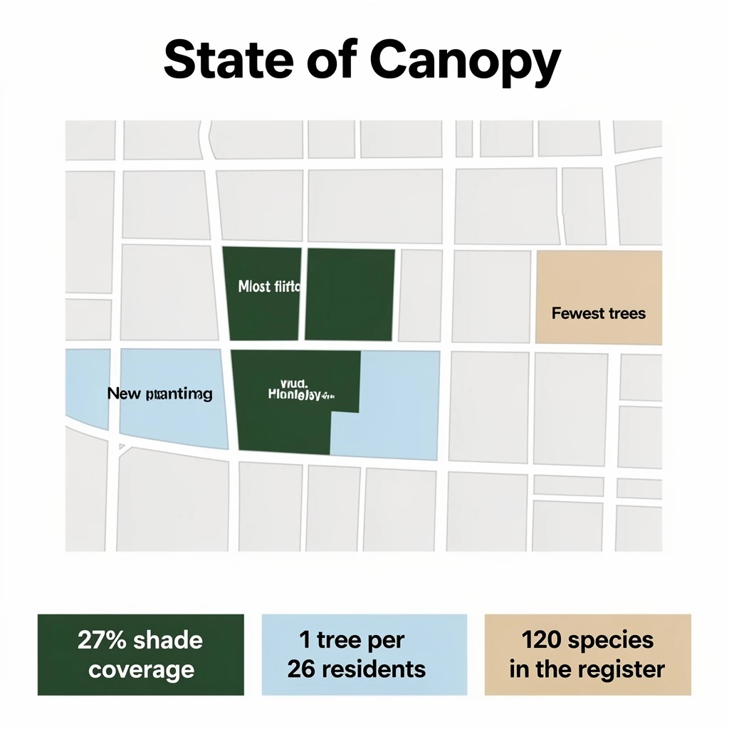 Flat infographic titled "State of Canopy". A simplified street map with shaded districts sits at the center, carrying three keyed regions, "Most trees" shaded dark green, "New planting" shaded light blue and "Fewest trees" shaded tan. Three stat chips run down a bottom row, reading "27% shade coverage", "1 tree per 26 residents" and "120 species in the register". Each key color matches the shading of the region it names.