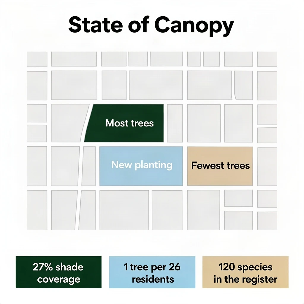 Flat infographic titled "State of Canopy". A simplified street map with shaded districts sits at the center, carrying three keyed regions, "Most trees" shaded dark green, "New planting" shaded light blue and "Fewest trees" shaded tan. Three stat chips run down a bottom row, reading "27% shade coverage", "1 tree per 26 residents" and "120 species in the register". Each key color matches the shading of the region it names.