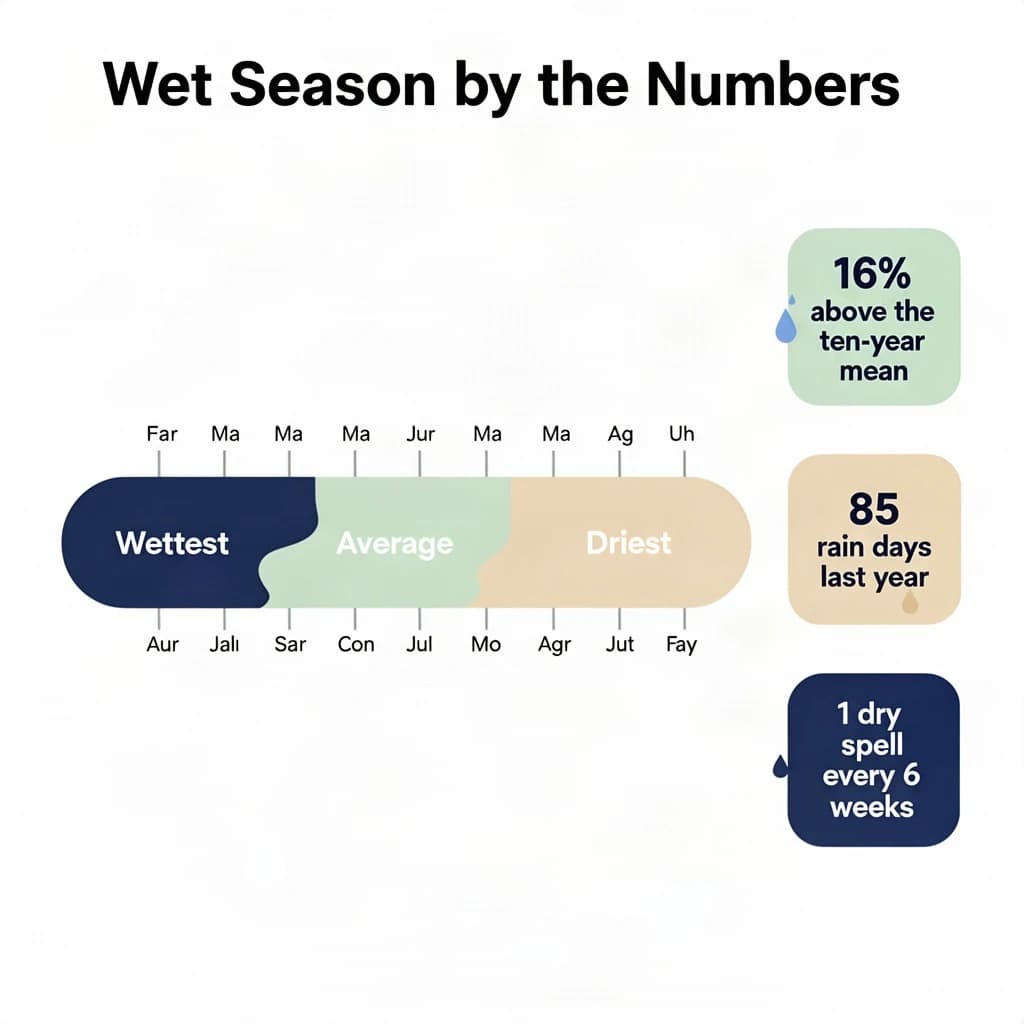 Flat vector illustration titled "Wet Season by the Numbers". A twelve-month rainfall timeline sits at the center, carrying three keyed regions, "Wettest" shaded dark blue, "Average" shaded pale green and "Driest" shaded sand. Three stat chips run down a right column, reading "16% above the ten-year mean", "85 rain days last year" and "1 dry spell every 6 weeks". Each key color matches the shading of the region it names.