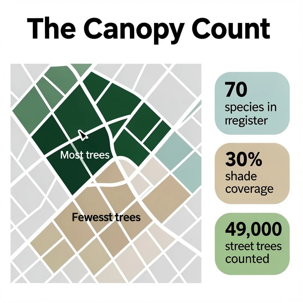 Flat infographic titled "The Canopy Count": at the center a simplified street map with shaded districts, carrying two keyed regions, "Most trees" shaded dark green and "Fewest trees" shaded tan, beside a right column of three stat chips reading "70 species in the register", "30% shade coverage" and "49,000 street trees counted".