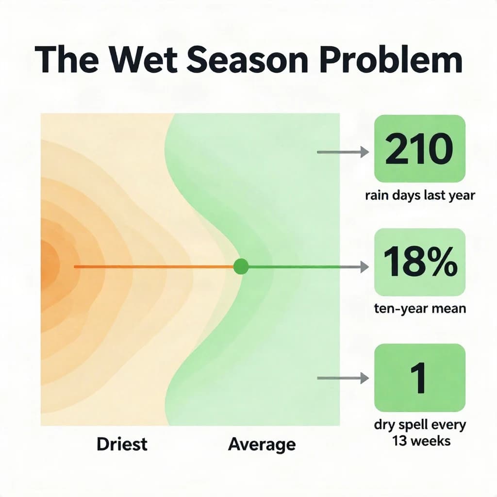 Printed poster titled "The Wet Season Problem". A twelve-month rainfall timeline sits at the center, carrying two keyed regions, "Driest" shaded sand and "Average" shaded pale green. Three stat chips run down a right column, reading "210 rain days last year", "18% above the ten-year mean" and "1 dry spell every 13 weeks". Each key color matches the shading of the region it names.