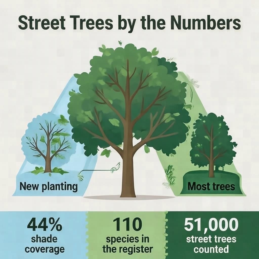 Flat infographic titled "Street Trees by the Numbers": at the center a labeled street-tree diagram, carrying two keyed regions, "New planting" shaded light blue and "Most trees" shaded dark green, beside a bottom row of three stat chips reading "44% shade coverage", "110 species in the register" and "51,000 street trees counted".